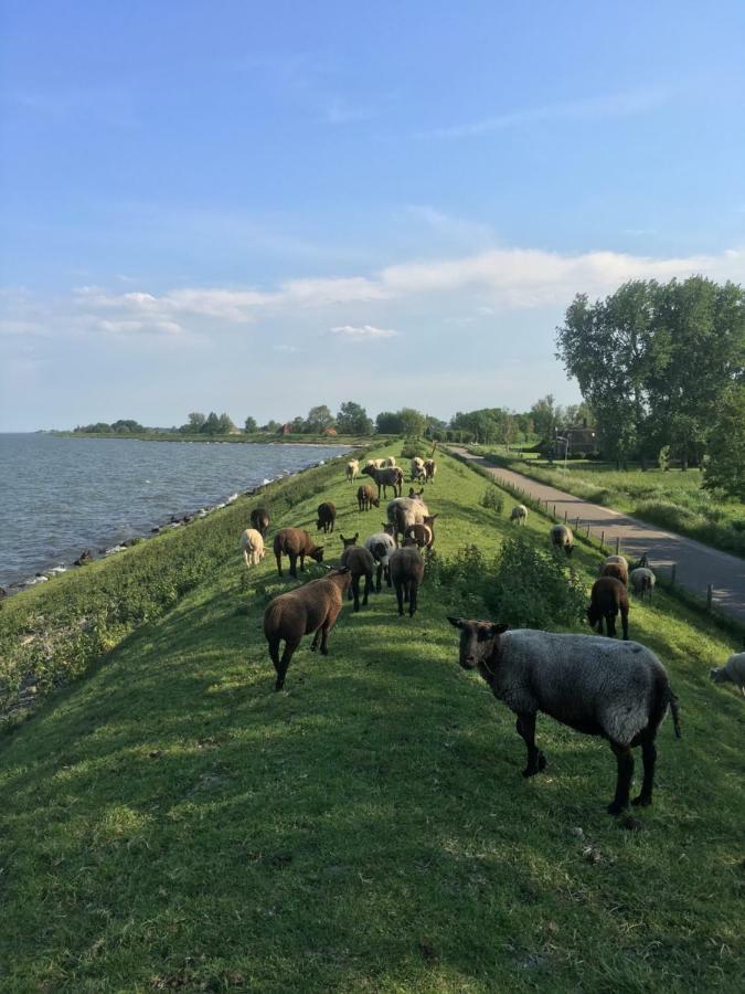 Huis Aan Ijsselmeer Nabij Amsterdam Villa Warder Eksteriør billede